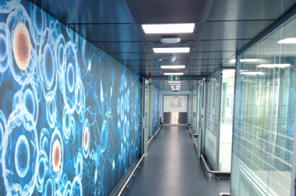 Guys - Cell Therapy corridor